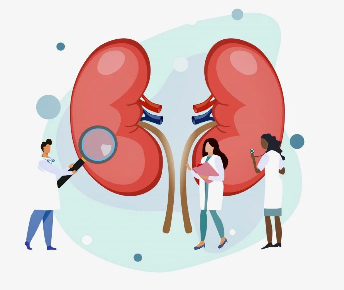 causes-of-low-cholesterol-in-people-with-kidney-disease-american